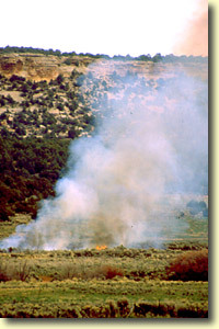 Controlled Burns