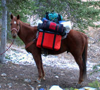Wyoming Horse Rentals