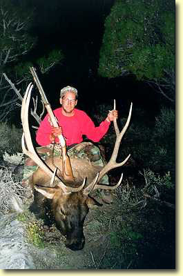 Brad's Colorado Bull