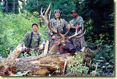 Marty's Big Idaho Bull