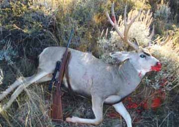 Rooster's first Wyoming Muley