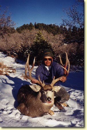 Percy and his Monster Muley