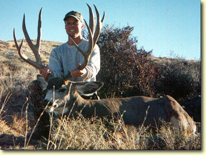 Stefan's Wyoming Buck