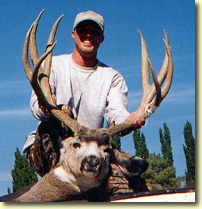 Stefan's Wyoming Buck