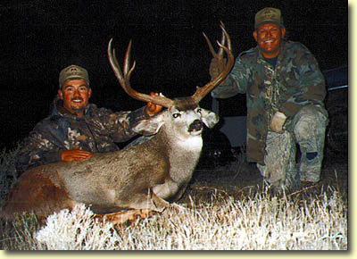 Dave's Arizona Buck