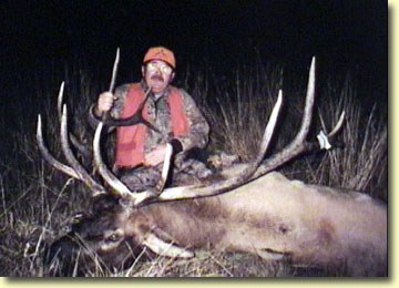 Larry's Big Bull