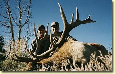 Nick's Trophy Bull Elk