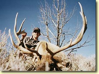 Nick's Trophy Bull Elk