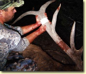 Derron's First Archery Bull Elk