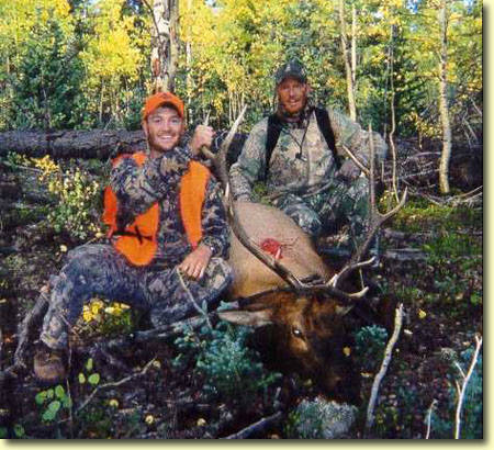 Colorado Elk Hunting