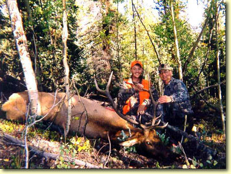 Colorado Elk Hunting