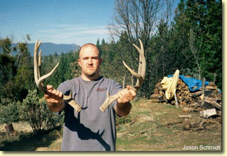 Shed Hunting