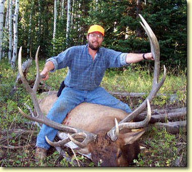 A Great Elk Hunt