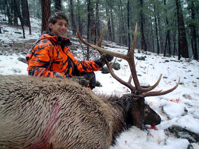 My First Bull Elk