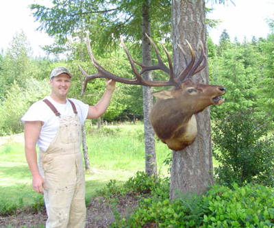 Once in a Lifetime - Washington Bull Elk