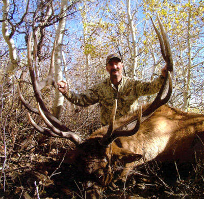 Trophy Nevada Bull Hunt