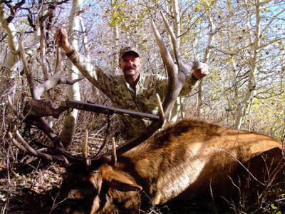 Trophy Nevada Bull Hunt