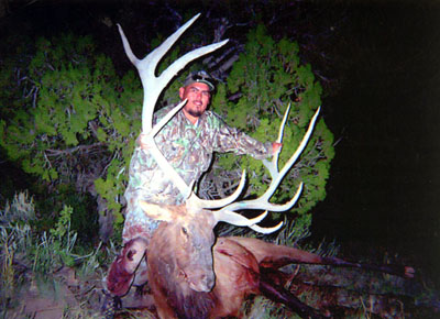 The Big Bull Rush