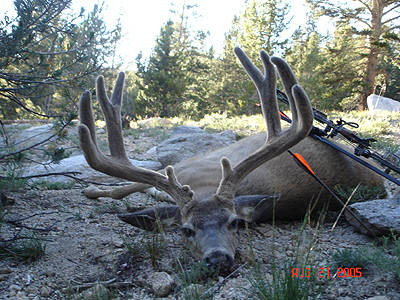 California High Country King