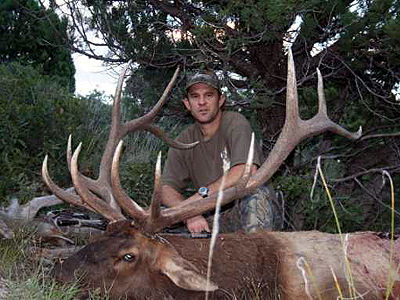 Waterhole Trophy Bull