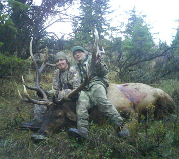 Second Chance Trophy Bull