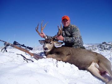 Colorado Mule Deer Success