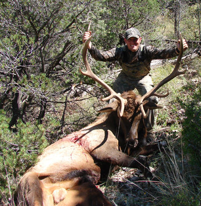 Archery Bull Hunt Success