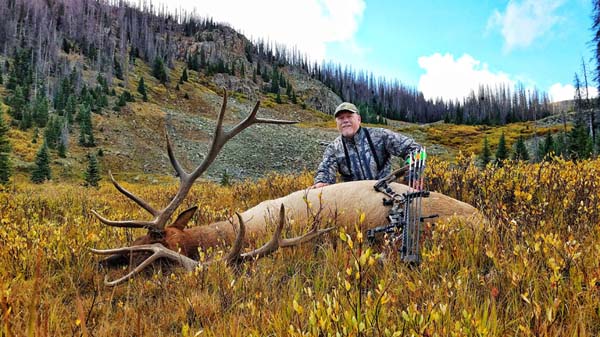 Backcountry Colorado Elk Hunting Adventure (Contest Winner